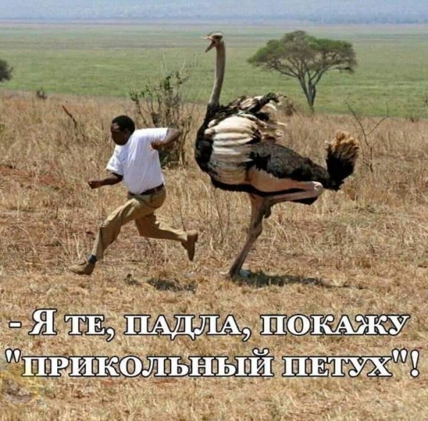 FB IMG 1595191953551