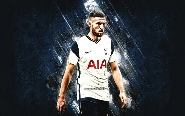 matt-doherty-tottenham-hotspur-irish-footballer-portrait-blue