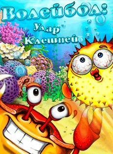 Волейбол-Удар Клешней RU Nok s60 176x208