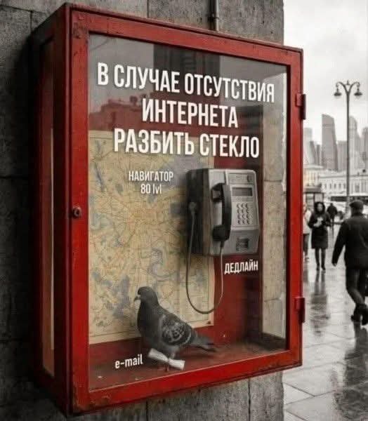 FB IMG 1778268267207