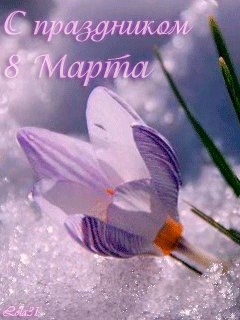 file_14441266