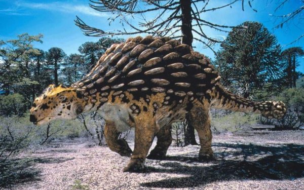 99px ru wallpaper 11106 ankylosauretravojadnij dinozavr610 me