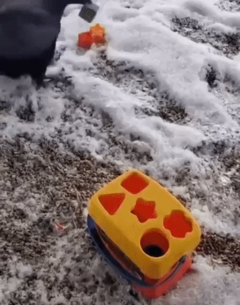 Ворона и то сообразительный