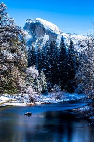 file_79430769