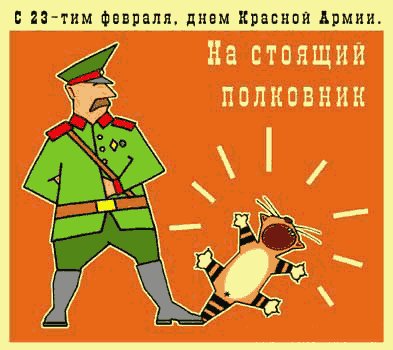 23 февраля 12