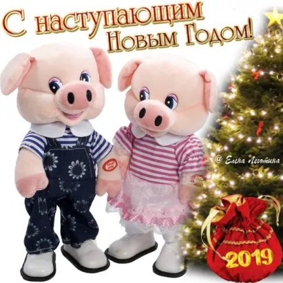 IMG 20181222 191840