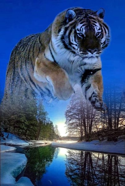 FB IMG 1638989022466