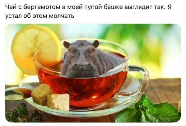 FB IMG 1772304848882