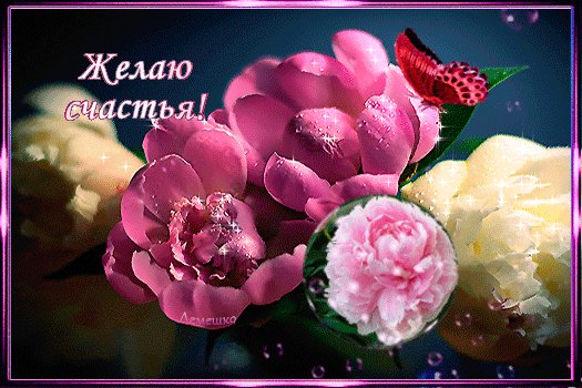 Анимированная открытка желаю счастья