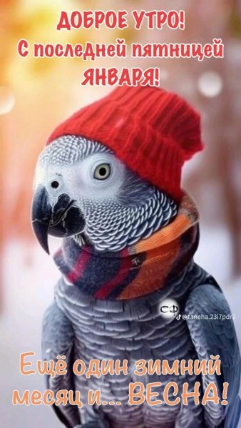 IMG-20260130-WA0004