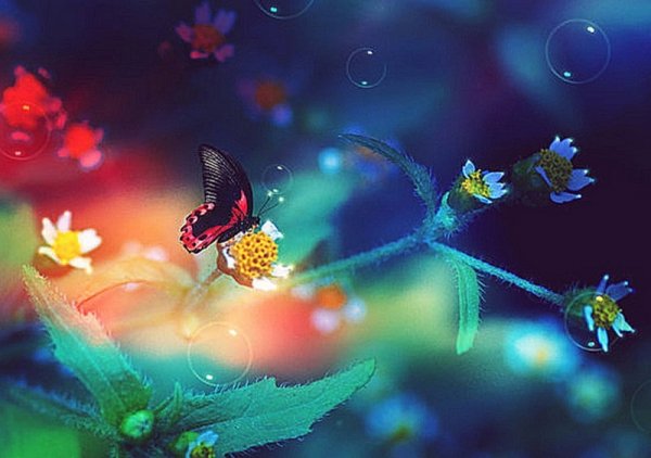 file_89124715