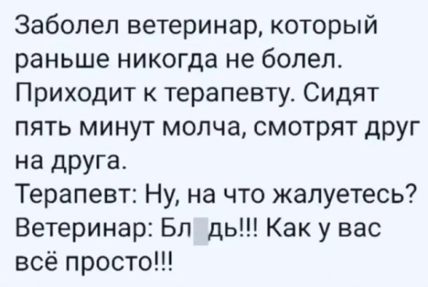 IMG viter59 111326
