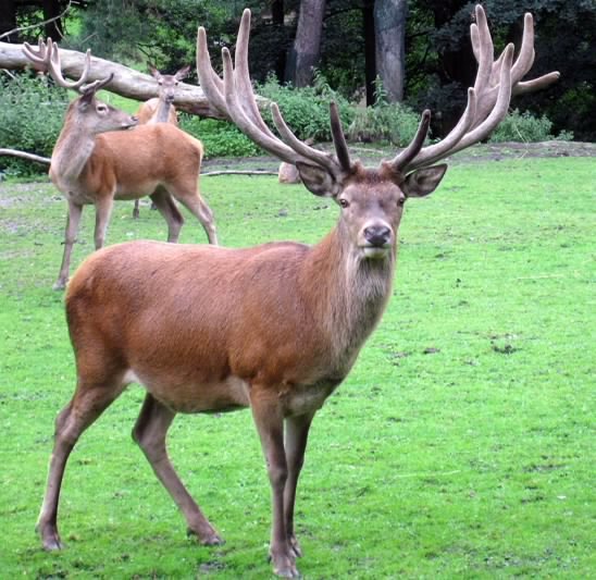 JZHxU45IQpanty 002 001. 000