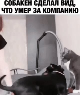 IMG 20220309 024406