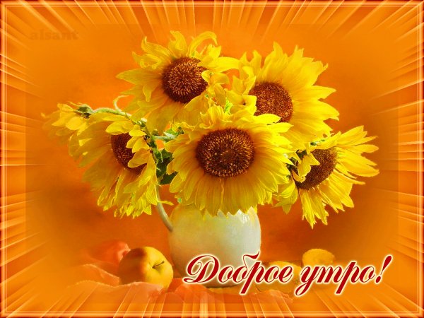 file_64902779
