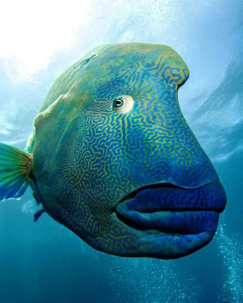 IMG 20230916 133416 709