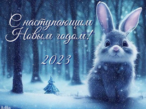 file_92293836