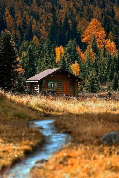 file_100924423