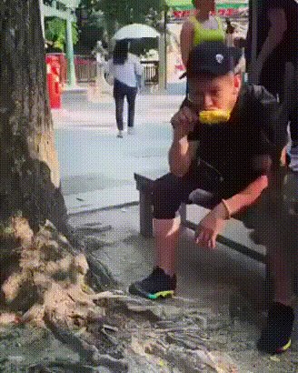 Наглый олень03435