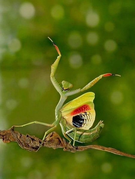 5ef50430a0260dc63afe70b913280930