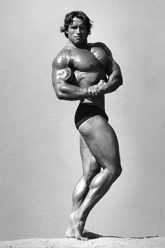 Schwarzenegger-WBZR o tn