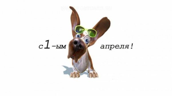 file_26341281