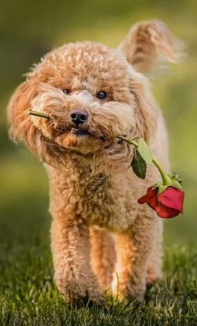 IMG 20190716 190402 669