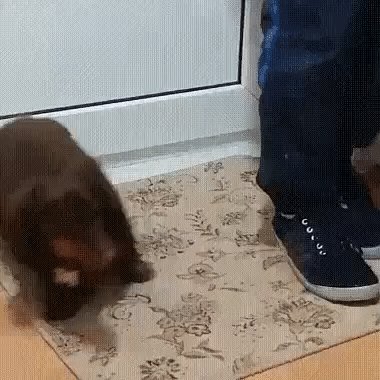 Чистота залог здоровья