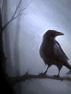 Crow
