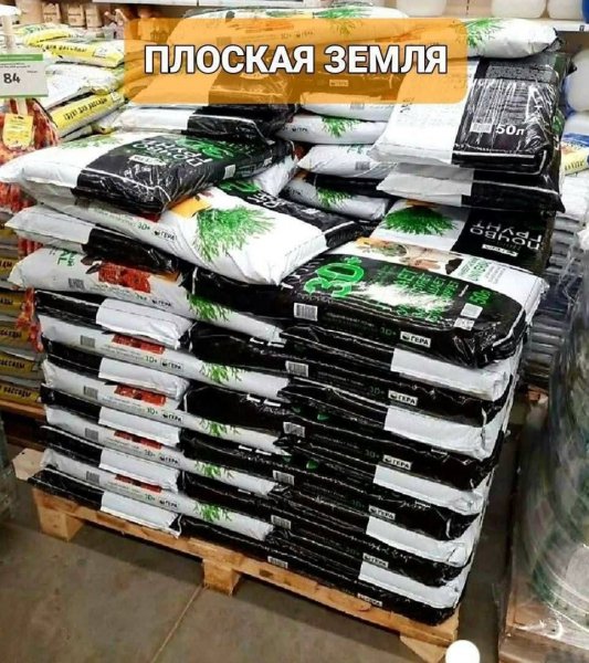 FB IMG 1775500759585