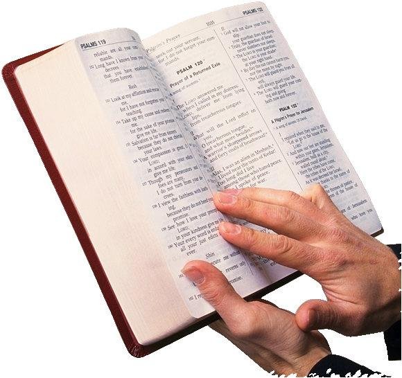 существуют ли противоречия в Библии