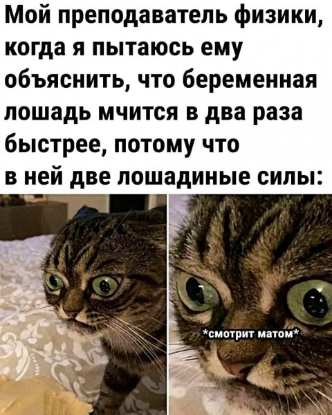 file_95051944