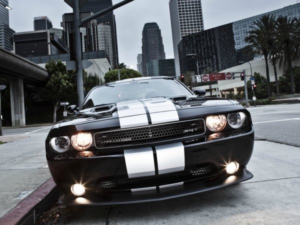 Wallpapers 7491
