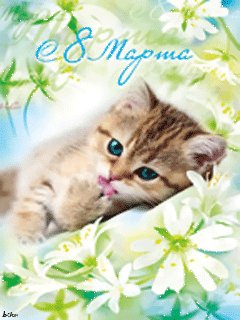 Анимация с 8марта