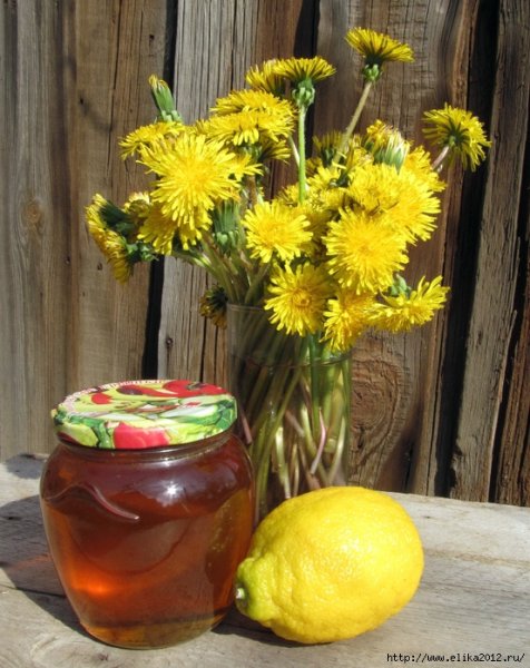 Мёд из одуванчиков..