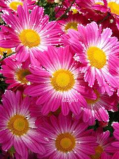 file_47004809