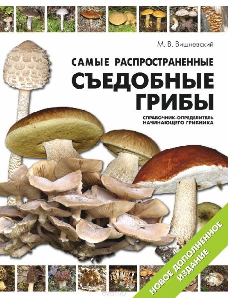 Распространенные съедобные грибы