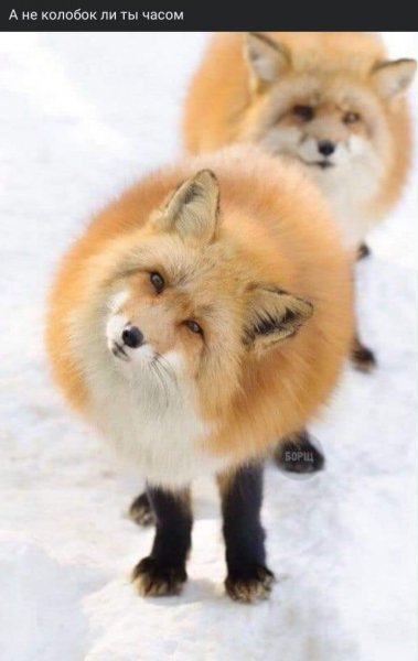 А не