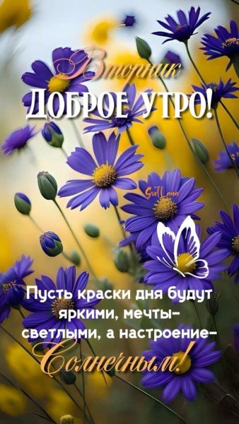 IMG-20251028-WA0015