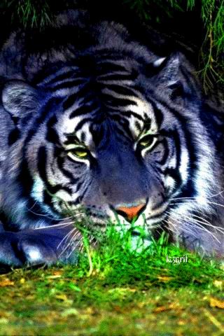 file_46226871