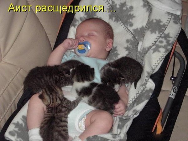 getImage 13
