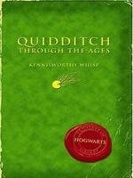 Kvidditch skvozb veka