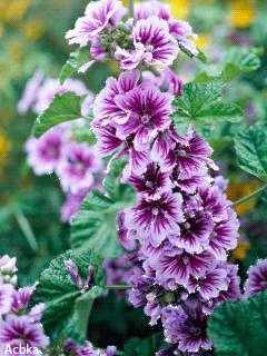 file_57167893