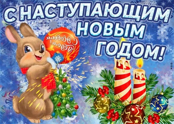 file_98622856