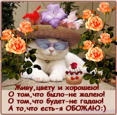 file_93409695