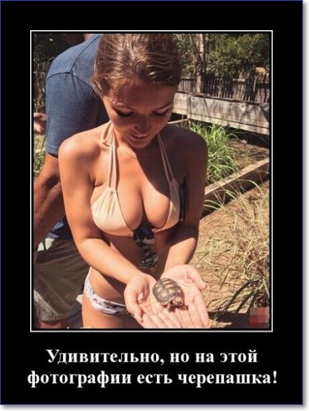 demotivatory-pro-devushek-poshlye-2018-146