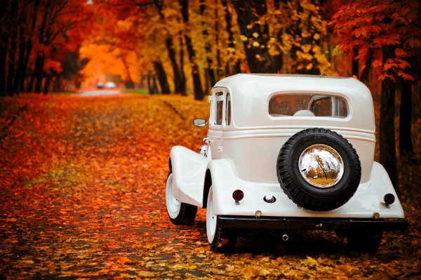 Gaz-m1-emka-park-osen-oboi