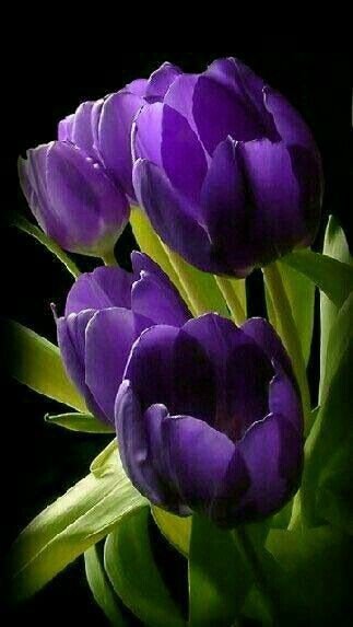 2bd76e00063c910d4f2a1fda8f0c6171