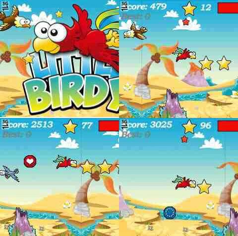 Little Birdy Sam 240х320 f480