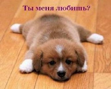 Ты меня любишь.2.5с.